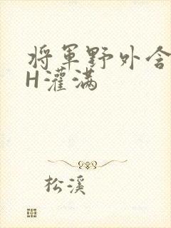 将军野外含公主H灌满
