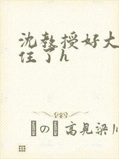 沈教授好大含不住了h