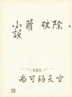 小萝 破除 小说