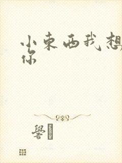 小东西我想弄坏你