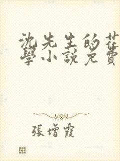 沈先生的花式教学小说免费