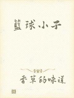 篮球小子