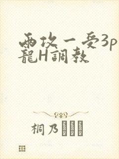 两攻一受3p双龙H调教