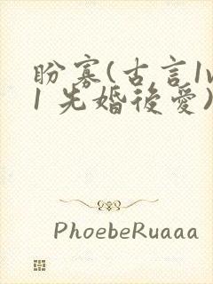 盼寡(古言1v1 先婚后爱)荔枝好多