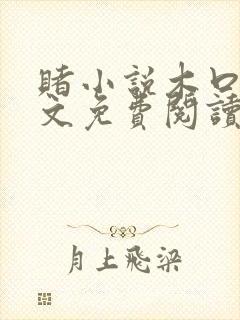 赌小说木口银全文免费阅读笔趣阁