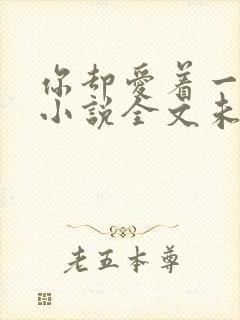 你却爱着一个他小说全文未删减免费