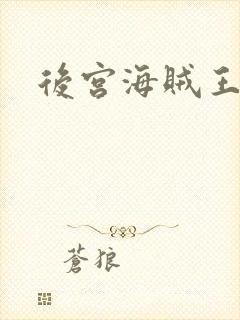 后宫海贼王