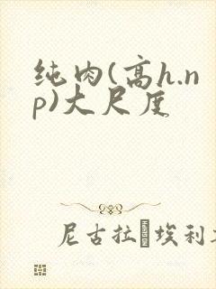 纯肉(高h.np)大尺度