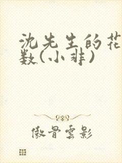 沈先生的花式调数(小非)