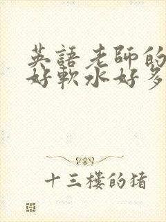 英语老师的兔子好软水好多