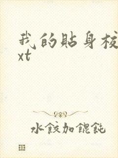 我的贴身校花txt