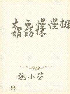 大龟慢慢挺进张娟的休