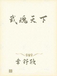 武魂天下