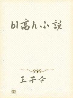 bl高h小说