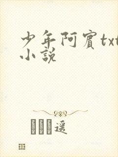 少年阿宾txt小说