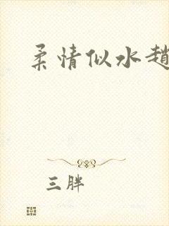 柔情似水赵雅儿