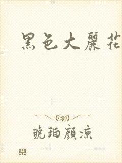 黑色大丽花图片