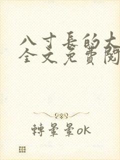 八寸长的大宝贝全文免费阅读