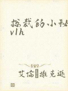 总裁的小秘书1v1h