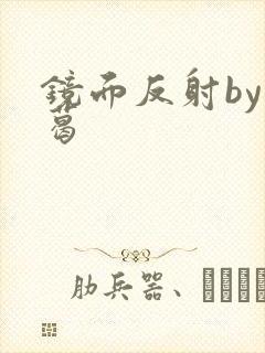 镜面反射by九葛