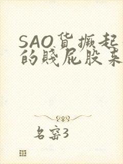 SAO货撅起你的贱屁股来