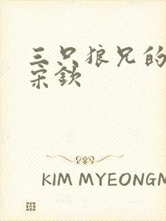 三只狼兄的宠妻宋钦