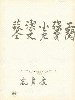 苏洁小强工地情全文免费阅读