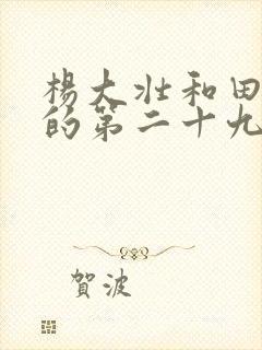 杨大壮和田桂花的第二十九