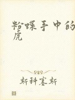 粉蝶手中的纸老虎