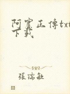 阿宾正传txt下载