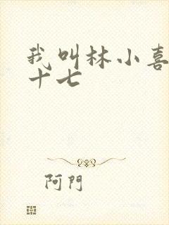 我叫林小喜今年十七