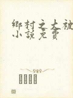 乡村之大被同眠小说免费