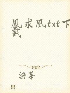 凤求凰txt下载