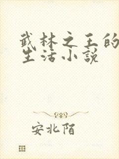 武林之王的退隐生活小说