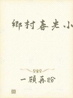 乡村春光小说