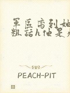 军区脔到她哭h粗话h他是疯批