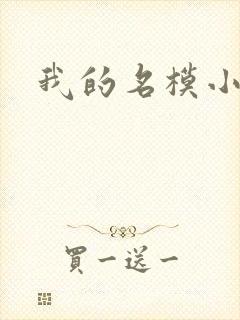 我的名模小娇妻