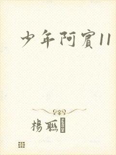 少年阿宾11