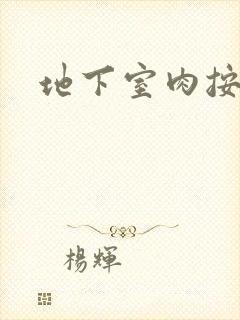 地下室肉按摩椅