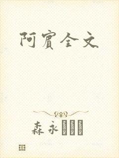阿宾全文