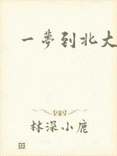一梦到北大