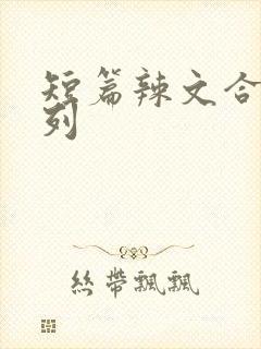 短篇辣文合集系列