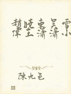 赵晓东吴雪晴郑伟王潇潇小说名字