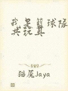 我是篮球队的公共玩具