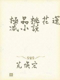 极品桃花运未删减小说