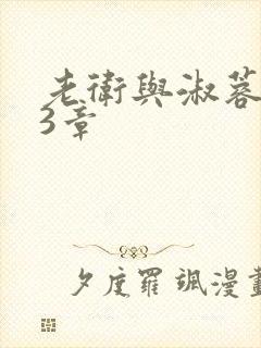 老卫与淑蓉第13章