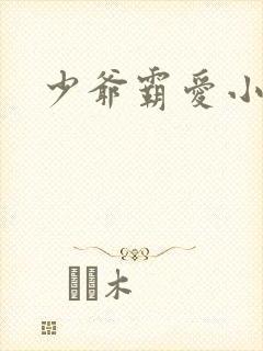 少爷霸爱小丫头