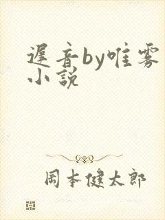 迟音by唯雾的小说