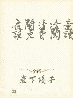 夜阑清冷意欢小说免费阅读