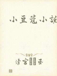 小豆蔻小说